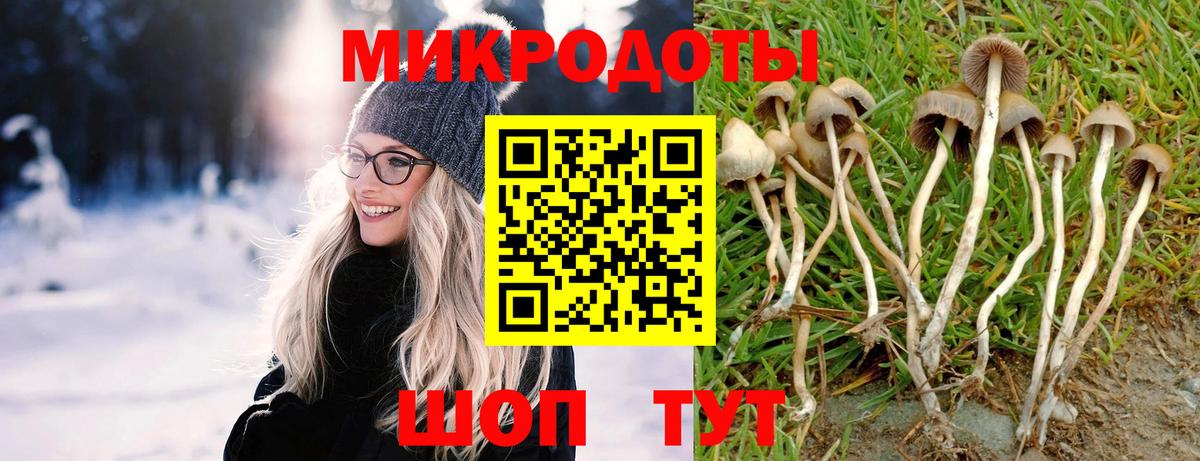 Псилоцибиновые грибы мухоморы Сергиев Посад