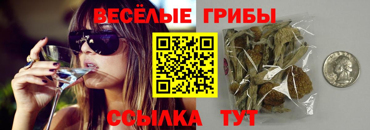Сергиев Посад  Галлюциногенные грибы Magic Shrooms  Вход с VPN 